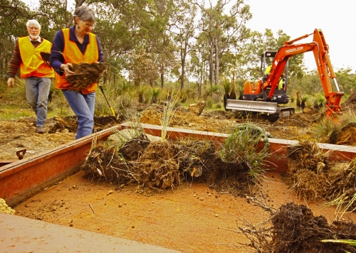 Plant salvage Plant salvage