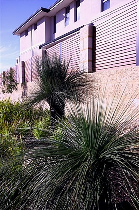 Meve Estate1