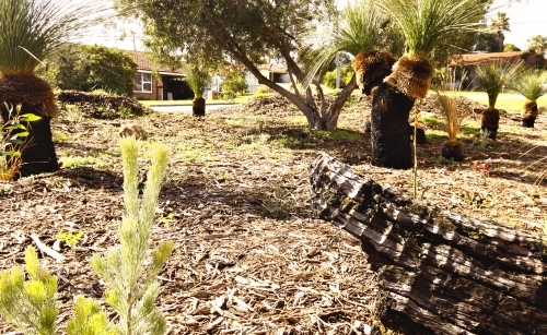 Landscaping Landscaping