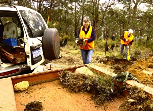 Plant salvage 2 Plant salvage 2